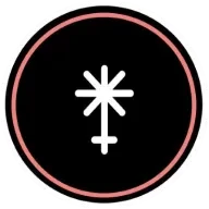 苹果手机怎么下载usdt钱包